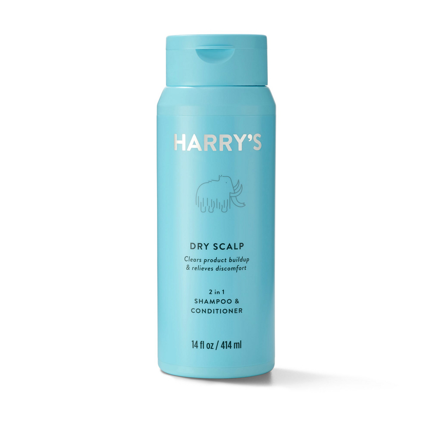 Dry Scalp 2 in 1 Shampoo & Conditioner 14oz